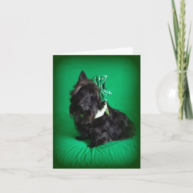 Cartão Plane (Frente)