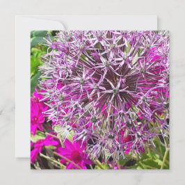Cartão plano Allium & Summer Flowers