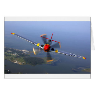 Cartão Plano Clássico