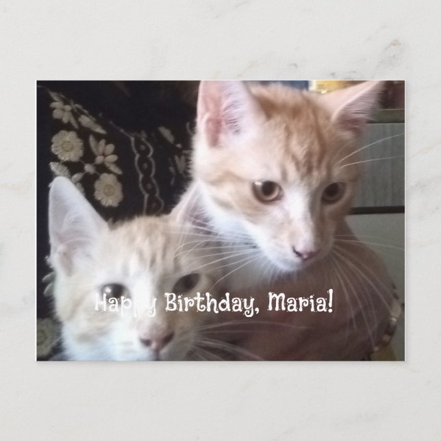 cartão plano de aniversário de saudações (Frente)