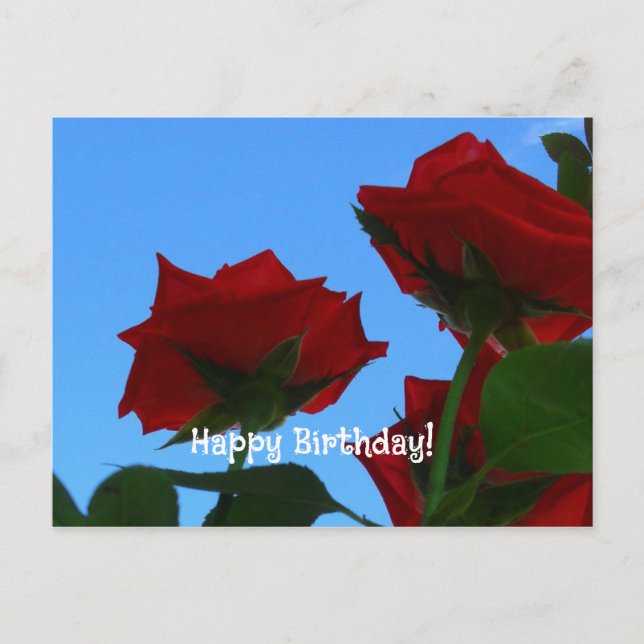 cartão plano de aniversário de saudações (Frente)