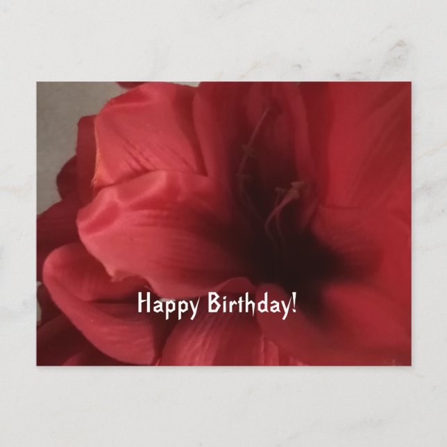 cartão plano de aniversário de saudações (Frente)