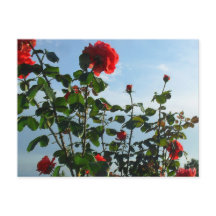 cartão plano de aniversário de saudações