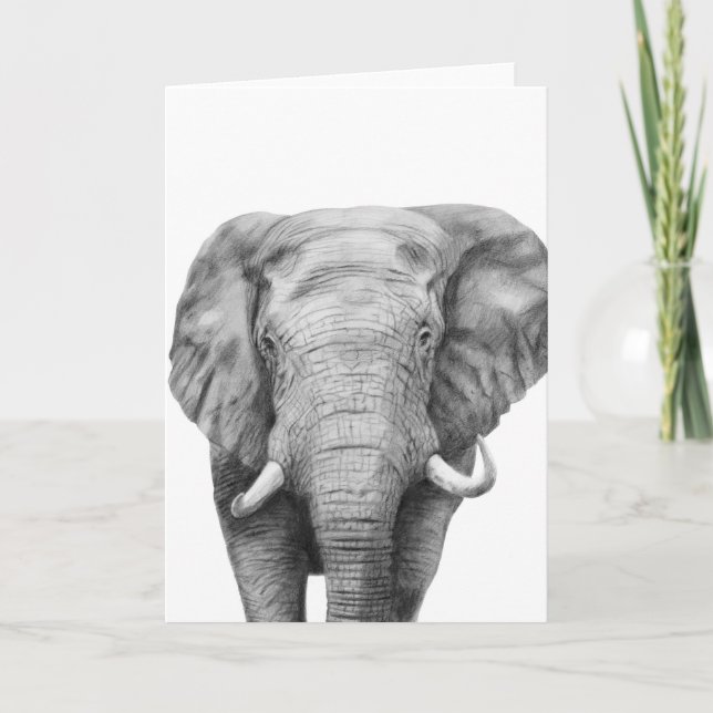 Cartão Plano de backup IV (Frente)