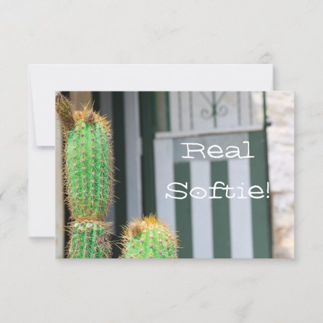 Cartão Plano de Cactus Verde Realmente Macio e Div (Frente)