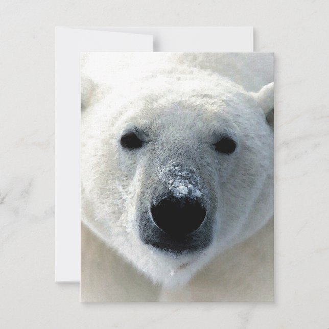 Cartão Plano Urso Polar (Frente)