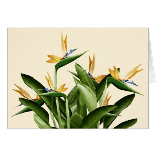 Cartão Planta da fantasia do Pássaro--Paraíso