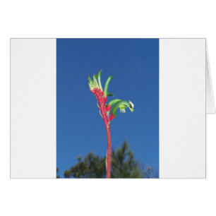 CARTÃO PLANTA DA PATA DE CANGURU