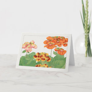 Cartão Planta de pocketbook de Tanigami Konan