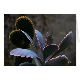 Cartão Planta do deserto