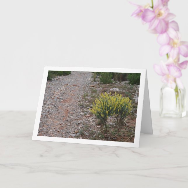 Cartão Planta Fabale, Anthyllis Cytisoides (Orquídea)