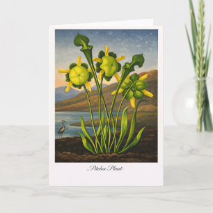 Cartão Planta Jarro — Reinterpretação Botânica Moderna
