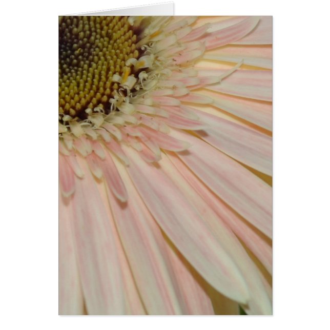 Cartão Planta para a Flor Cura (Frente)