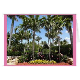 Cartão Plantação Tropical de Coco Bonita Primavera Fló