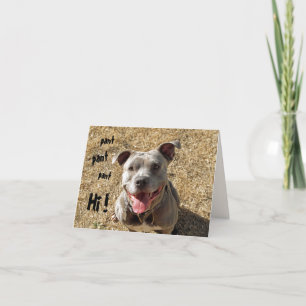 Cartão Plantando Pitbull Hi Notecard