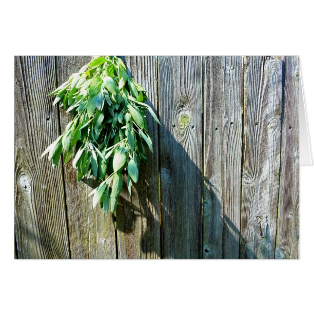 Cartão Plantas aromáticas verdes bovinas, madeiras em dif (Frente Horizontal)