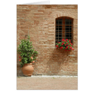Cartão Plantas de pote de Toscânia