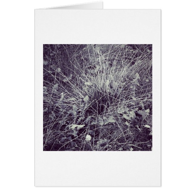 Cartão Plantas e erva (Frente)