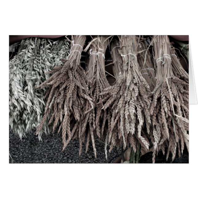 Cartão Plantas Secas para Decoração (Frente Horizontal)