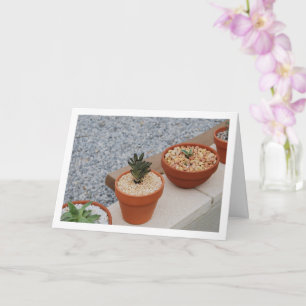 Cartão Plantas Suculentas na Parede do Jardim em retrato
