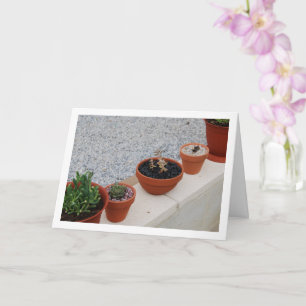 Cartão Plantas Suculentas no Retrato da Parede do Jardim