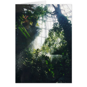 Cartão Plantas Tropicais