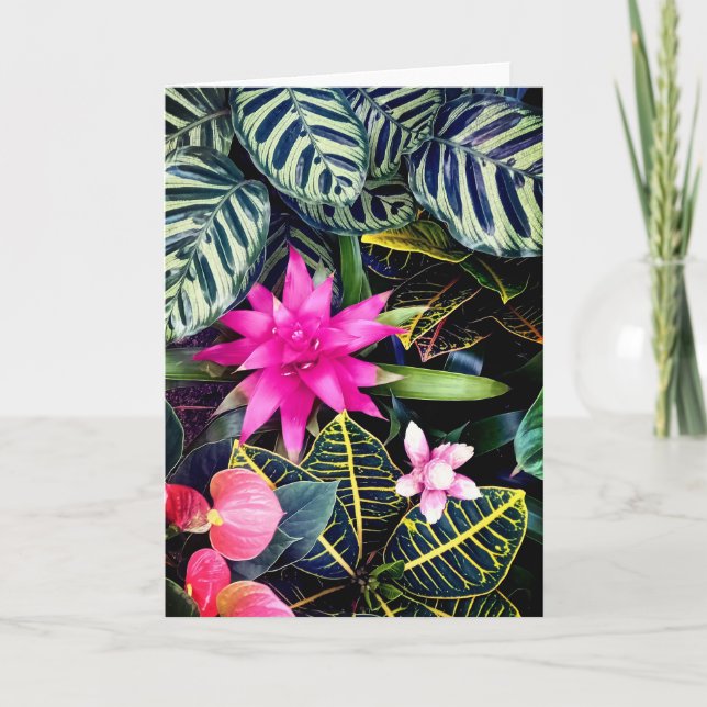 Cartão Plantas tropicais (Frente)