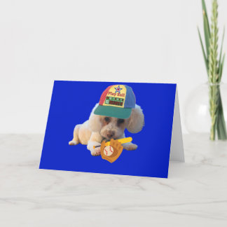 Cartão Play Ball Poodle Foled Greeting Card