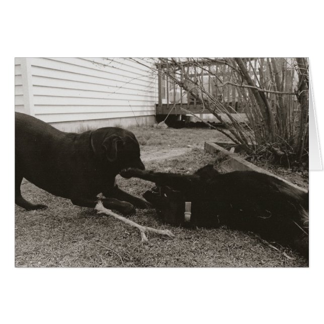 Cartão Playmates (Frente Horizontal)