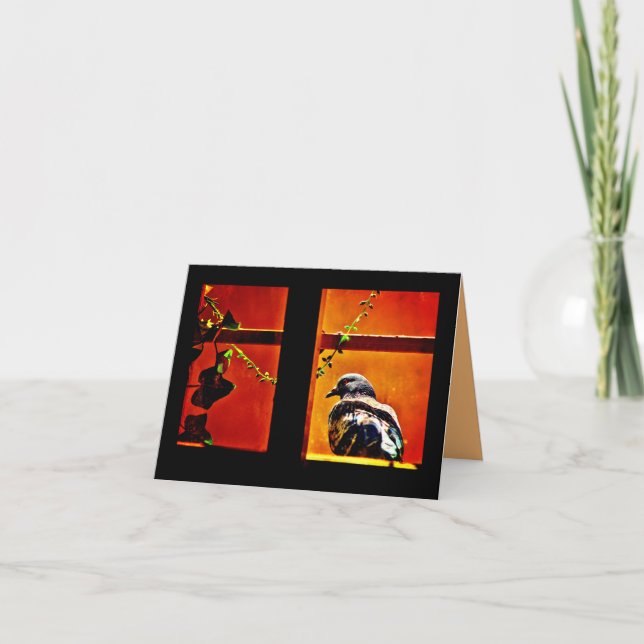 Cartão Pleasant Pigeon (Frente)