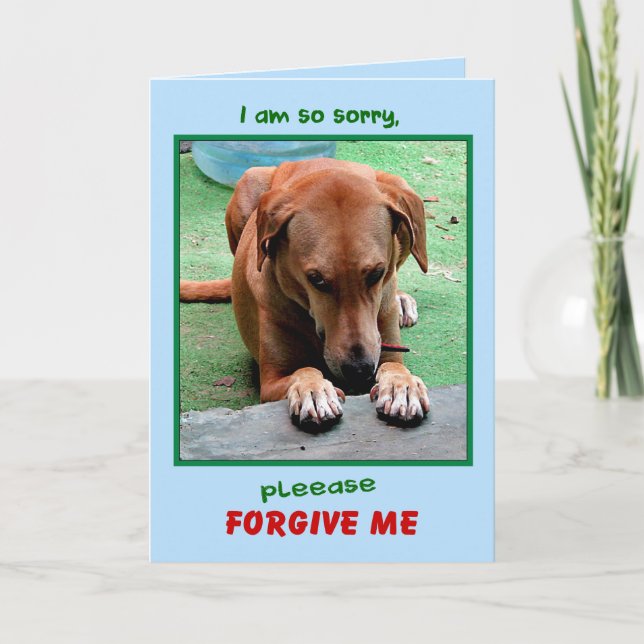 Cartão "Please Forgive Me" greeting card (Frente)
