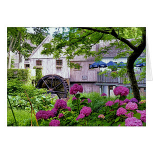 Cartão Plimoth Grist Mill em Jenney Pond no verão