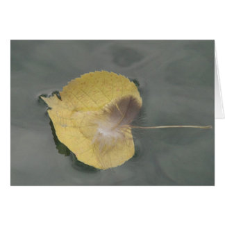 Cartão pluma em folha amarela na água, em branco