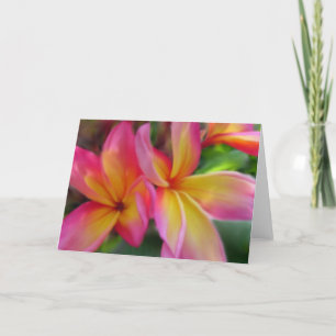 Cartão Plumeria Card