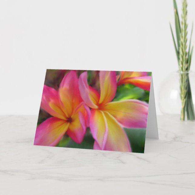 Cartão Plumeria Card (Frente)