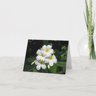 Cartão Plumeria Hawaiian Flower Photo on Note Card