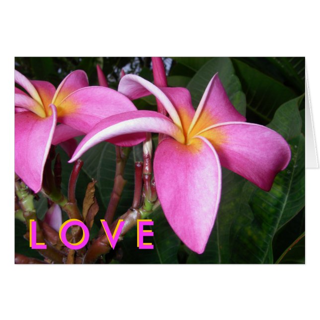 Cartão Plumeria L O V E (Frente Horizontal)