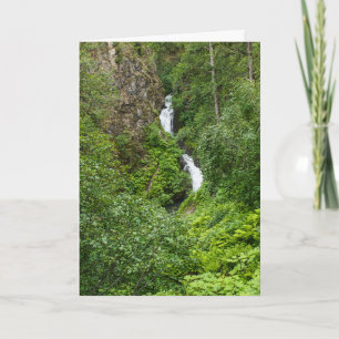 Cartão Plush Thunderbird Painterly