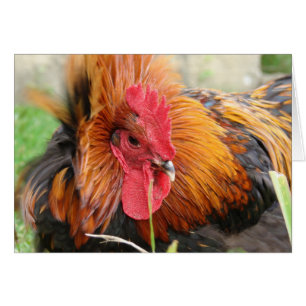 Cartão Pó de vento