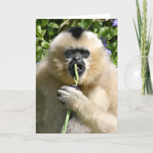 Cartão Poço olá! lá