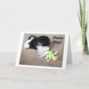 CARTÃO PODEMOS FAZER TUDO O QUE QUISER PARA O SEU ANIVERS