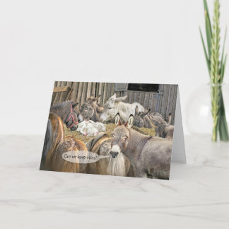 Cartão Podemos Ficar Com Ele? Donkeys com o Bebê Jesus Na