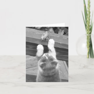 Cartão Podemos ser AMIGOS?