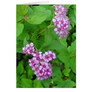 Cartão poder florista