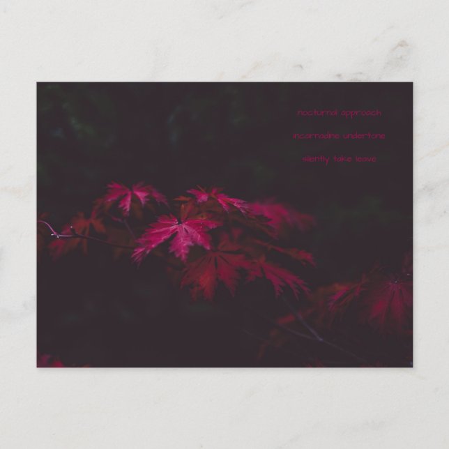 cartão poesia (Frente)