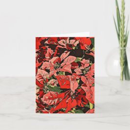 Cartão Poinsettias