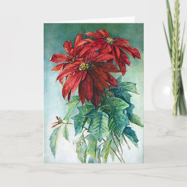 Cartão Poinsettias Watercolor Fine Art Greeting Card (Frente)