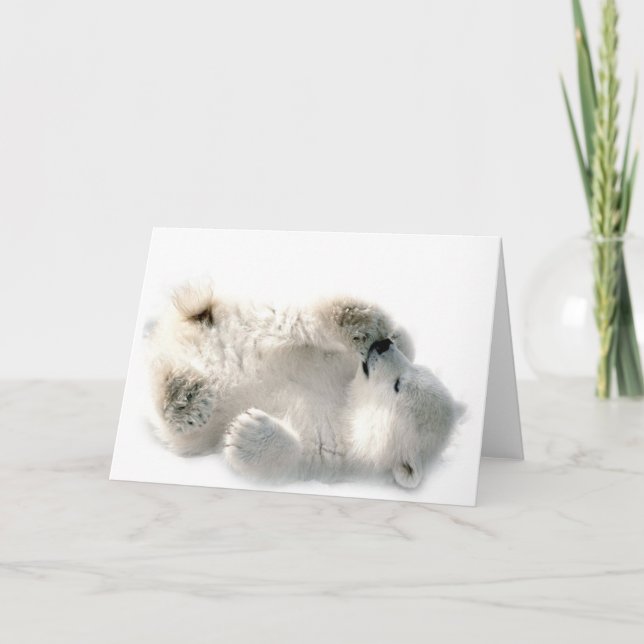 Cartão Polar Bear Cub Cub Ártico Ártico Congelado Inverno (Frente)
