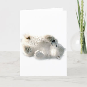 Cartão Polar Bear Cub Cub Ártico Ártico Congelado Inverno