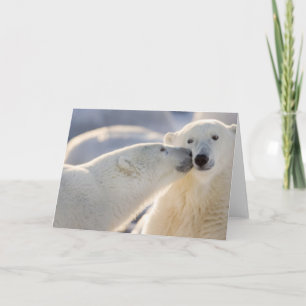 Cartão Polar Bear Kiss